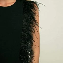 The Sparkling Spur Miss Feather